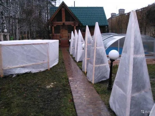 Спанбонд-Агроволокно для Сельского Хозяйства