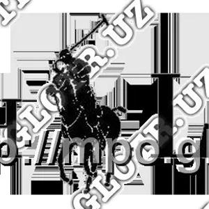 Ralf Lauren tomonidan quyoshdan saqlaydigan ko'zoynaklar