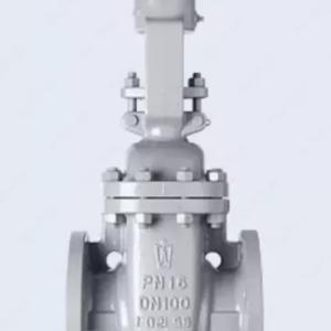 PN16 ko'tarilgan shpindelli takozli eshik valfi