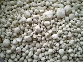 Tez ohak