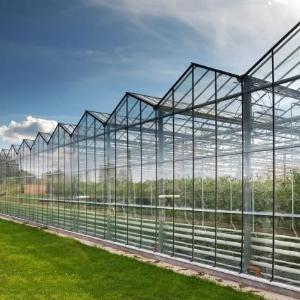 Теплица промышленная