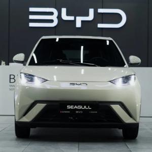 Электромобиль BYD Seagull 405km Flying