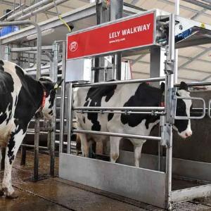 Автоматизированное устройство для мойки копыт Lely Walkway