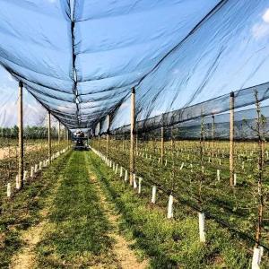 Защитная сетка для растений