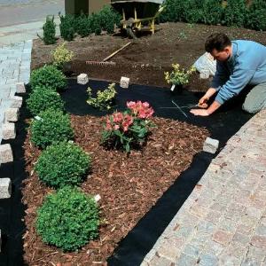 Спанбонд для цветника