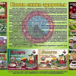 Шиповник с бальзамом "DD Double D"