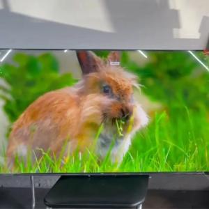 Телевизор TCL 43" HD VA Smart TV Android