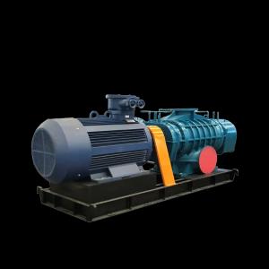 Роторная воздуходувка Рутс