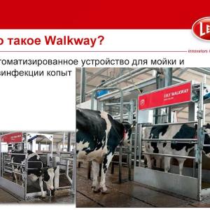 Автоматизированное устройство для мойки копыт Lely Walkway