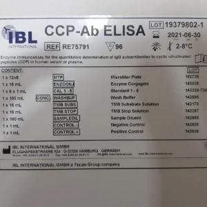 Антитела к циклическому цитруллинированному пептиду (аццп)