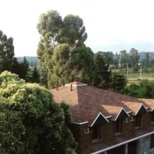 TechnoNIKOL moslashuvchan ko'p qatlamli shingillalar