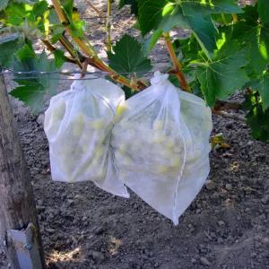 Агроволокно (Спанбонд) , Плотность от 17 СУПЕР Цена!!!