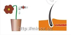 Minox 5%  Los’on, erkaklarning soch to’kilishiga qarshi