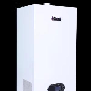 Двухконтурный настенный газовый котел SandaL