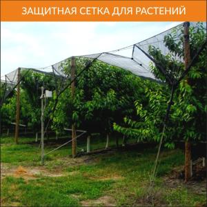 Интенсивные фруктовые сады