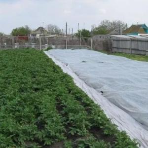 Агроволокно (Спанбонд) , Плотность от 17 СУПЕР Цена!!!