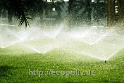 Sprinkler nozli