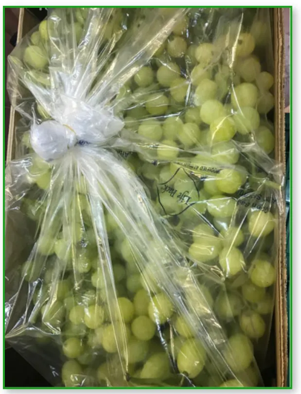 MAR paketlari