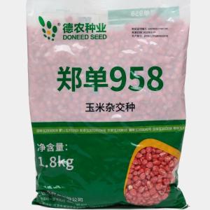 Makkajo'xori urug'i, nav 958