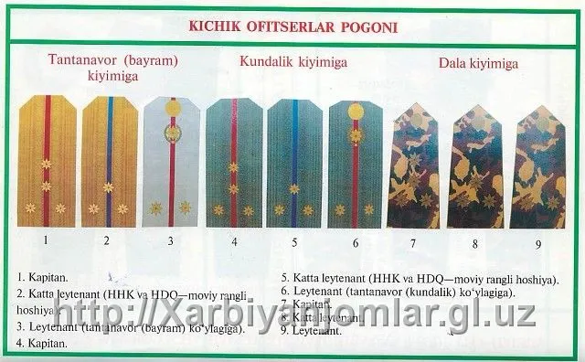 O'rta boshqaruv xodimlari uchun elkama-kamar (1 chiziqli lureks)