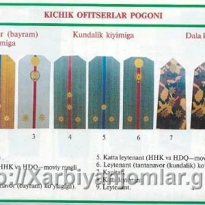 O'rta boshqaruv xodimlari uchun elkama-kamar (1 chiziqli lureks)