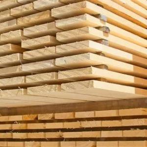 Assortimentdagi yog'och