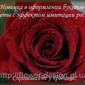 Лак с эффектом имитации росы!