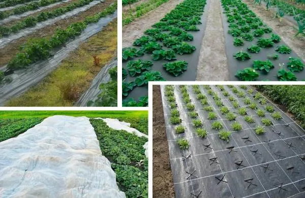 Агроволокно АгроЭл 60, (Мульча) Шир (9,3м)