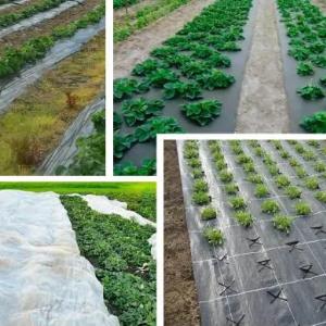 Agrofibre AgroEl 60, (Mulch) Shir (9,3 m)