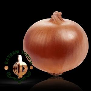 Piyoz urug'lari DORA