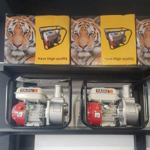 Мотопомпа 168Ф