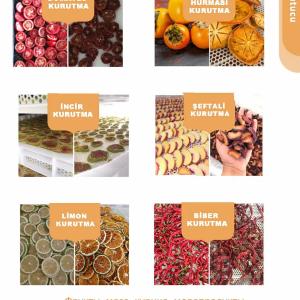 Сушильная камера для фруктов и овощей