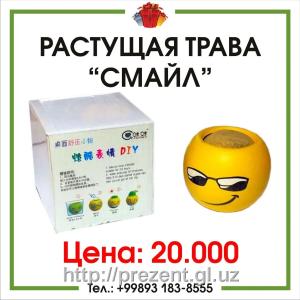 Растущая трава