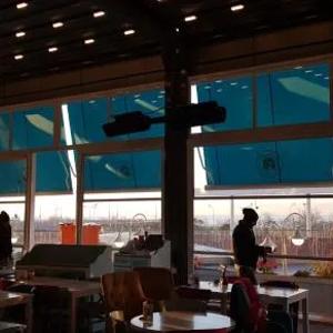 A dan Z gacha qishki bog'lar