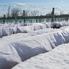 Агроволокно (Спанбонд) , Плотность от 17 СУПЕР Цена!!!