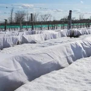 Агроволокно (Спанбонд) , Плотность от 17 СУПЕР Цена!!!