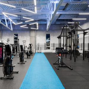 Резиновые плитки для фитнес клубов и зоны кроссфит (РП)