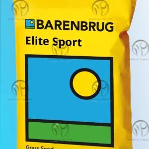 Sport va landshaft maydonlari uchun o't urug'lari
