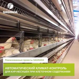 Климат-контроль для несушек