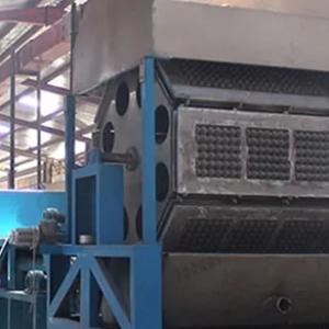 Машина для лотков для яиц