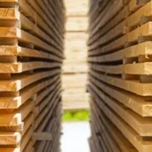 Assortimentdagi yog'och