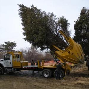 Пересадчик деревьев BIG JOHN Модель 90D