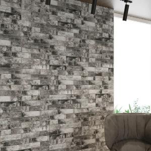 Fasad plitalari Polsha