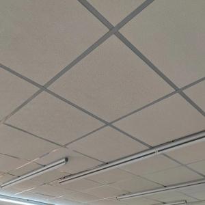 Потолочные плиты Гипсовой Армстронг 10-15-20мм ECOLIT