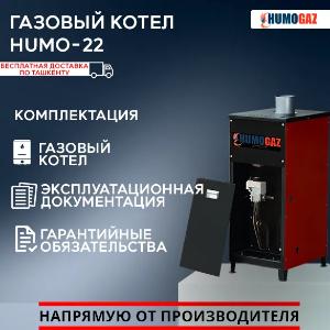 Газовый котел HumoGaz HG-22 (22 кВт на 200 кв.м.) автомат