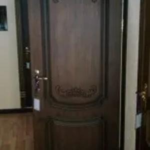Дверь межкомнатная Арт. 001