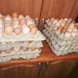 Флейка для куриных яиц