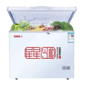 XINGX-200 muzlatgichi