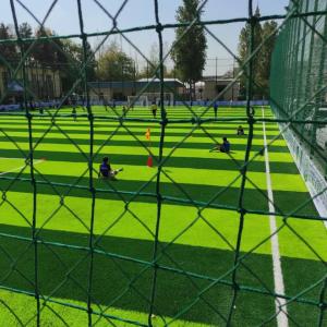 Защитная Сетка для стадионов