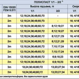 Monorayli trolleyli elektr ko'targich (normal qurilish balandligi)